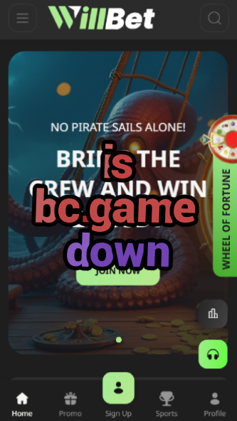 Is BC.game Down? - Server Status Check-vz72fvrf.com