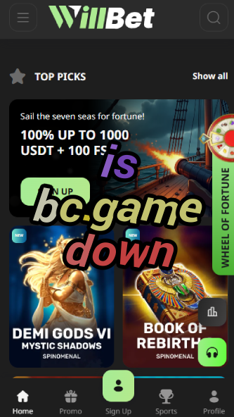 Is BC.game Down? - Server Status Check-vz72fvrf.com