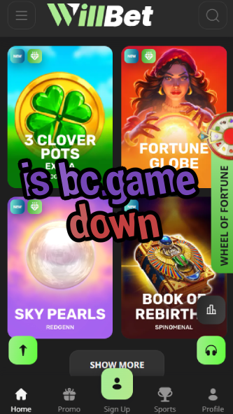 Is BC.game Down? - Server Status Check-vz72fvrf.com